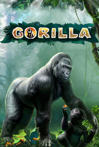 Демо игрового автомата Gorilla | SELECTOR BY 